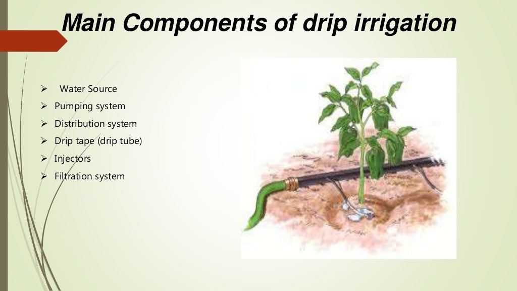 ppt-on-drip-irrigation