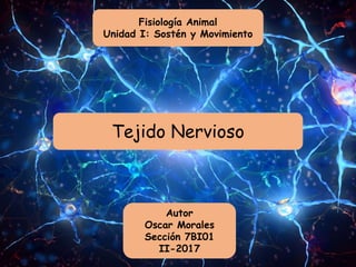 Fisiología Animal
Unidad I: Sostén y Movimiento
Tejido Nervioso
Autor
Oscar Morales
Sección 7BI01
II-2017
 