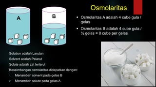  Osmolaritas A adalah 4 cube gula /
gelas
Solution adalah Larutan
Solvent adalah Pelarut
Solute adalah zat terlarut
Keseimbangan osmolaritas didapatkan dengan:
1. Menambah solvent pada gelas B
2. Menambah solute pada gelas A
A B
Osmolaritas
 Osmolaritas B adalah 4 cube gula /
½ gelas = 8 cube per gelas
 