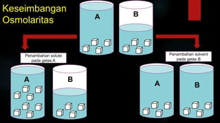 Keseimbangan
Osmolaritas
A B
A B
A B
Penambahan solvent
pada gelas B
Penambahan solute
pada gelas A
 