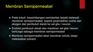 Membran Semipermeabel
 Pada tubuh, keseimbangan osmolaritas terjadi melewati
membran semipermeabel, seperti perpindahan nutrisi dan
oksigen dari pembuluh darah ke sel glia / neuron.
 Endotel pembuluh darah dan membran sel glia/ neuron
berfungsi sebagai membran semipermeabel
 Membran semipermeabel akan menahan solute, tetapi
melewatkan solvent
 