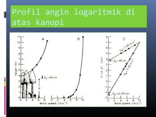 Profil angin logaritmik di
atas kanopi

 