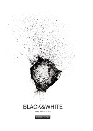34
Teka | ARMATUREN UND ZUBEHÖR
BLACK&WHITE
TEKA SENSATIONS
 