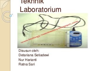 Tekhnik
Laboratorium
Disusun oleh:
Detariana Setiadewi
Nur Harianti
Ratna Sari
 