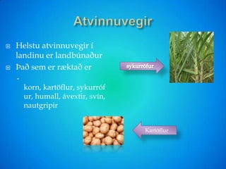 OlomoucTékklandÞað er töluð  tékkneska Það er lýðveldiForsetin heitir VáclavKlaus