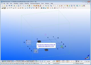Tekla mis primeros pasos