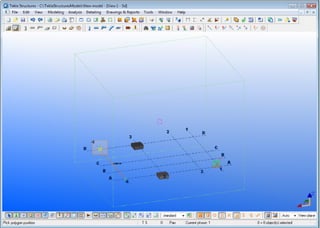 Tekla mis primeros pasos