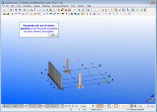 Tekla mis primeros pasos