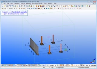 Tekla mis primeros pasos