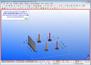 Tekla mis primeros pasos