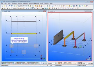 Tekla mis primeros pasos