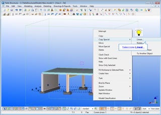 Tekla mis primeros pasos