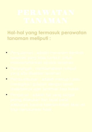 PERAWATAN 
TANAMAN 
Hal-hal yang termasuk perawatan 
tanaman meliputi : 
• Penyulaman : adalah menanam kembali 
tanaman yang tidak tumbuh untuk 
mempertahankan opulasi tanaman 
• Penyiangan : membersihkan rumput 
yang ada disekitar tanaman 
• Pembumbunan : adalah mentup / atau 
meningikan guludan dengan tanah 
disekitarnya agar tanaman bisa kokoh 
• Pengairan : adalah hal yang sangat 
peting dilakukan dan tepat pada 
waktunya, karena keterlambatan akan air 
bisa menurunkan hasil 
 