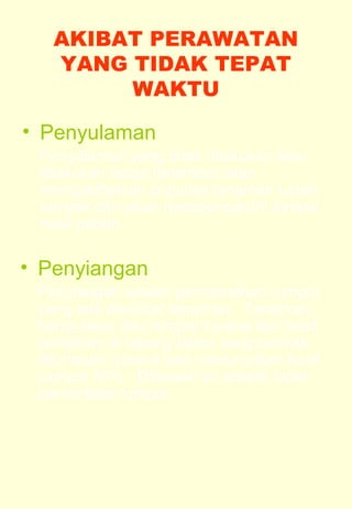 AKIBAT PERAWATAN 
YANG TIDAK TEPAT 
WAKTU 
• Penyulaman 
Penyulaman yang tidak dilakukan atau 
dilakukan tetapi terlambat akan 
mengakibatkan populasi tanaman tudah 
banyak dan akan mempengaruhi tonase 
hasil panen. 
• Penyiangan 
Penyiangan adalah pembersihan rumput 
yang ada disekitar tanaman. Tanaman 
harus bersi dari rumput karena dari hasil 
penelitian di lapang lahan yang banyak 
ditumbuhi rumput bisa menurunkan hasil 
sampai 30%. Dibawah ini adalah tabel 
persentase rumput. 
 