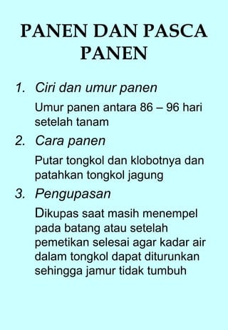PANEN DAN PASCA 
PANEN 
1. Ciri dan umur panen 
Umur panen antara 86 – 96 hari 
setelah tanam 
2. Cara panen 
Putar tongkol dan klobotnya dan 
patahkan tongkol jagung 
3. Pengupasan 
Dikupas saat masih menempel 
pada batang atau setelah 
pemetikan selesai agar kadar air 
dalam tongkol dapat diturunkan 
sehingga jamur tidak tumbuh 
 