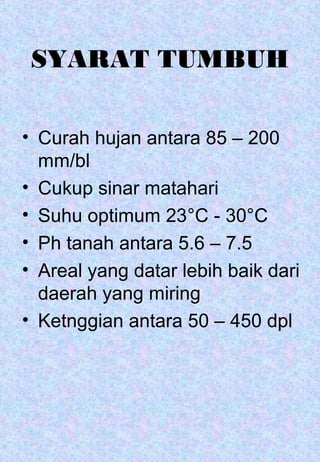 SYARAT TUMBUH 
• Curah hujan antara 85 – 200 
mm/bl 
• Cukup sinar matahari 
• Suhu optimum 23°C - 30°C 
• Ph tanah antara 5.6 – 7.5 
• Areal yang datar lebih baik dari 
daerah yang miring 
• Ketnggian antara 50 – 450 dpl 
 