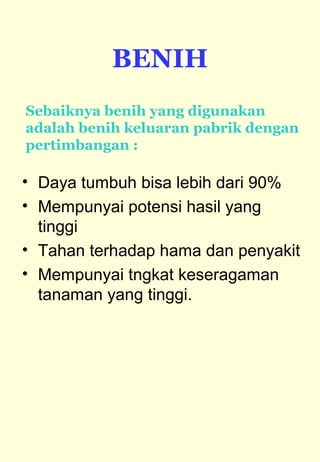 BENIH 
Sebaiknya benih yang digunakan 
adalah benih keluaran pabrik dengan 
pertimbangan : 
• Daya tumbuh bisa lebih dari 90% 
• Mempunyai potensi hasil yang 
tinggi 
• Tahan terhadap hama dan penyakit 
• Mempunyai tngkat keseragaman 
tanaman yang tinggi. 
 