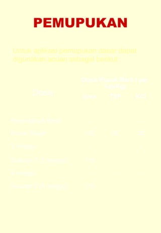 PEMUPUKAN 
Untuk aplikasi pemupukan dasar dapat 
digunakan acuan sebagai berikut : 
Dosis 
Dosis Pupuk Maro ( per 
ha)(Kg) 
Urea TSP KCl 
Perendaman Benih - - - 
Pupuk Dasar 120 80 25 
2 minggu - - - 
Susulan 1 (3 minggu) 115 
4 minggu - - - 
Susulan 2 (6 minggu) 115 
 