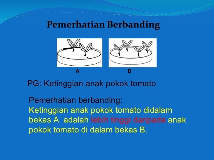 Teknik jawab-sains-bm