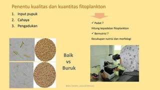 teknik-pembenihan-ikan-i.pptxAAAAAAAAAAAAAAAAAAAA