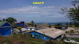teknik-pembenihan-ikan-i.pptxAAAAAAAAAAAAAAAAAAAA