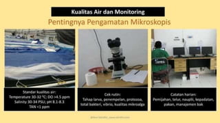 teknik-pembenihan-ikan-i.pptxAAAAAAAAAAAAAAAAAAAA
