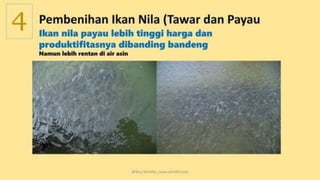 teknik-pembenihan-ikan-i.pptxAAAAAAAAAAAAAAAAAAAA