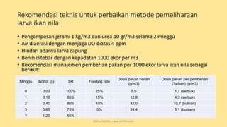 teknik-pembenihan-ikan-i.pptxAAAAAAAAAAAAAAAAAAAA