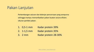 teknik-pembenihan-ikan-i.pptxAAAAAAAAAAAAAAAAAAAA