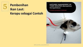 teknik-pembenihan-ikan-i.pptxAAAAAAAAAAAAAAAAAAAA