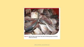 teknik-pembenihan-ikan-i.pptxAAAAAAAAAAAAAAAAAAAA