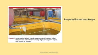 teknik-pembenihan-ikan-i.pptxAAAAAAAAAAAAAAAAAAAA