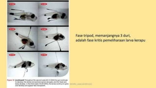 teknik-pembenihan-ikan-i.pptxAAAAAAAAAAAAAAAAAAAA