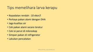 teknik-pembenihan-ikan-i.pptxAAAAAAAAAAAAAAAAAAAA