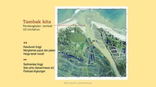 teknik-pembenihan-ikan-i.pptxAAAAAAAAAAAAAAAAAAAA