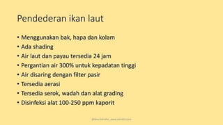 teknik-pembenihan-ikan-i.pptxAAAAAAAAAAAAAAAAAAAA