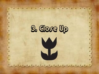 3. Close Up
 