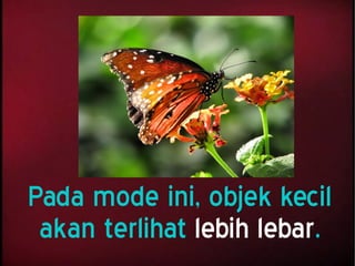 Pada mode ini, objek kecil
akan terlihat lebih lebar.
 