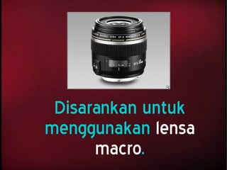 Disarankan untuk
menggunakan lensa
macro.
 