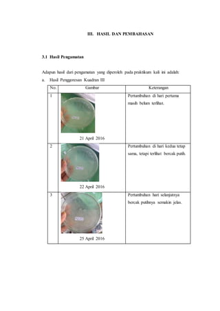 III. HASIL DAN PEMBAHASAN
3.1 Hasil Pengamatan
Adapun hasil dari pengamatan yang diperoleh pada praktikum kali ini adalah:
a. Hasil Penggoresan Kuadran III
No. Gambar Keterangan
1
21 April 2016
Pertumbuhan di hari pertama
masih belum terlihat.
2
22 April 2016
Pertumbuhan di hari kedua tetap
sama, tetapi terlihat bercak putih.
3
25 April 2016
Pertumbuhan hari selanjutnya
bercak putihnya semakin jelas.
 