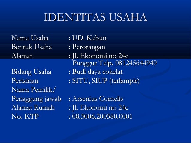 di pinjaman modal lampung usaha proposal Teknik buat usaha