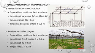 TEKNIK BUDIDAYA ANGGUR.pptx