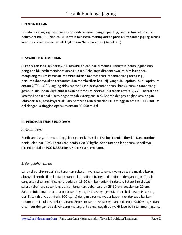 Budidaya Tanaman Kentang