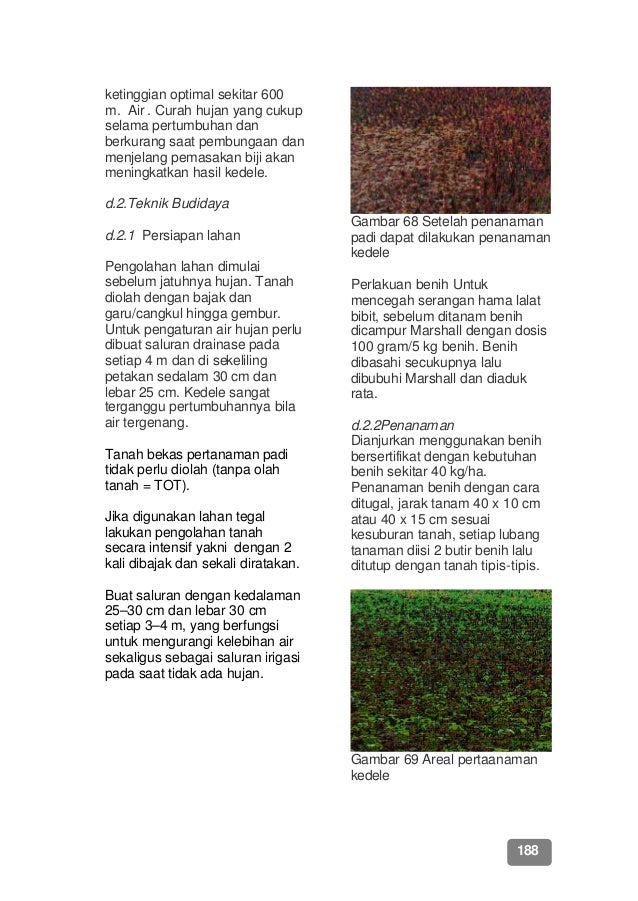 Nama Tanaman Sayuran Ciri Ciri Tanaman Bagian Yang Dimakan  