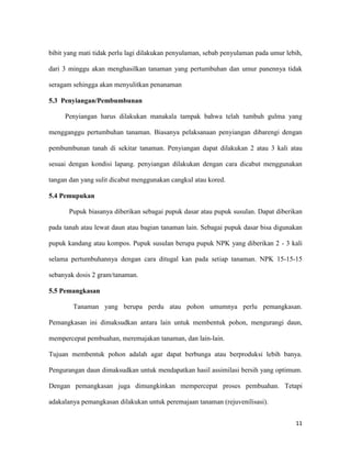bibit yang mati tidak perlu lagi dilakukan penyulaman, sebab penyulaman pada umur lebih,

dari 3 minggu akan menghasilkan tanaman yang pertumbuhan dan umur panennya tidak

seragam sehingga akan menyulitkan penanaman

5.3 Penyiangan/Pembumbunan

     Penyiangan harus dilakukan manakala tampak bahwa telah tumbuh gulma yang

mengganggu pertumbuhan tanaman. Biasanya pelaksanaan penyiangan dibarengi dengan

pembumbunan tanah di sekitar tanaman. Penyiangan dapat dilakukan 2 atau 3 kali atau

sesuai dengan kondisi lapang. penyiangan dilakukan dengan cara dicabut menggunakan

tangan dan yang sulit dicabut menggunakan cangkul atau kored.

5.4 Pemupukan

       Pupuk biasanya diberikan sebagai pupuk dasar atau pupuk susulan. Dapat diberikan

pada tanah atau lewat daun atau bagian tanaman lain. Sebagai pupuk dasar bisa digunakan

pupuk kandang atau kompos. Pupuk susulan berupa pupuk NPK yang diberikan 2 - 3 kali

selama pertumbuhannya dengan cara ditugal kan pada setiap tanaman. NPK 15-15-15

sebanyak dosis 2 gram/tanaman.

5.5 Pemangkasan

        Tanaman yang berupa perdu atau pohon umumnya perlu pemangkasan.

Pemangkasan ini dimaksudkan antara lain untuk membentuk pohon, mengurangi daun,

mempercepat pembuahan, meremajakan tanaman, dan lain-lain.

Tujuan membentuk pohon adalah agar dapat berbunga atau berproduksi lebih banya.

Pengurangan daun dimaksudkan untuk mendapatkan hasil assimilasi bersih yang optimum.

Dengan pemangkasan juga dimungkinkan mempercepat proses pembuahan. Tetapi

adakalanya pemangkasan dilakukan untuk peremajaan tanaman (rejuvenilisasi).


                                                                                     11
 