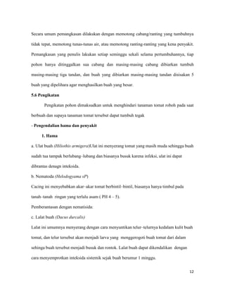 Secara umum pemangkasan dilakukan dengan memotong cabang/ranting yang tumbuhnya

tidak tepat, memotong tunas-tunas air, atau memotong ranting-ranting yang kena penyakit.

Pemangkasan yang penulis lakukan setiap seminggu sekali selama pertumbuhannya, tiap

pohon hanya ditinggalkan sua cabang dan masing-masing cabang dibiarkan tumbuh

masing-masing tiga tandan, dan buah yang dibiarkan masing-masing tandan disisakan 5

buah yang dipelihara agar menghasilkan buah yang besar.

5.6 Pengikatan

       Pengikatan pohon dimaksudkan untuk menghindari tanaman tomat roboh pada saat

berbuah dan supaya tanaman tomat tersebut dapat tumbuh tegak

- Pengendalian hama dan penyakit

     1. Hama

a. Ulat buah (Hiliothis armigera)Ulat ini menyerang tomat yang masih muda sehingga buah

sudah tua tampak berlubang–lubang dan biasanya busuk karena infeksi, ulat ini dapat

dibrantas denagn inteksida.

b. Nematoda (Helodogyama sP)

Cacing ini menyebabkan akar–akar tomat berbintil–bintil, biasanya hanya timbul pada

tanah–tanah ringan yang terlalu asam ( PH 4 – 5).

Pemberantasan dengan nematisida:

c. Lalat buah (Dacus durcalis)

Lalat ini umumnya menyerang dengan cara menyuntikan telur–telurnya kedalam kulit buah

tomat, dan telur tersebut akan menjadi larva yang menggerogoti buah tomat dari dalam

sehinga buah tersebut menjadi busuk dan rontok. Lalat buah dapat dikendalikan dengan

cara menyemprotkan inteksida sistemik sejak buah berumur 1 minggu.


                                                                                       12
 