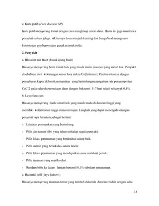 e. Kutu putih (Pseu dococus SP)

Kutu putih menyerang tomat dengan cara menghisap cairan daun. Hama ini juga mambawa

penyakit embun jelaga. Akibatnya daun menjadi keriting dan bunga/buah mengalami

kerontokan pemberontakan gunakan insektisida.

2. Penyakit

a. Blossom and Root (busuk ujung buah)

Biasanya menyerang buah tomat baik yang masih muda maupun yang sudah tua. Penyakit

disebabkan oleh kekurangan unsur hara mikro Ca [kalsium]. Pembarantasnya dengan

penyebaran kapur dolomit.pemupukan yang berimbangan pengairan rata penyemprotan

CaCl2 pada seluruh permukaan daun dengan frekuensi 5–7 hari sekali sebanyak 0,1%.

b. Layu furasium

Biasanya menyerang buah tomat baik yang masih muda di dataran tinggi yang

memiliki kelembaban tinggi dimusim hujan. Langkah yang dapat mencegah serangan

penyakit layu furasium,sebagai berikut:

-   Lakukan pemupukan yang berimbang

- Pilih dan tanam bibit yang tahan terhadap segala penyakit

- Pilih lokasi penanaman yang berdrainse cukup baik.

- Pilih daerah yang bersikulasi udara lancar

- Pilih lokasi penanaman yang mendapatkan sinar matahari penuh .

- Pilih tanaman yang masih sehat .

- Rendam bibit ke dalam larutan benomil 0,1% sebelum penanaman.

c. Bacterial will (layu bakteri )

Biasanya menyerang tanaman tomat yang tumbuh didaerah dataran rendah dengan suhu


                                                                                    13
 