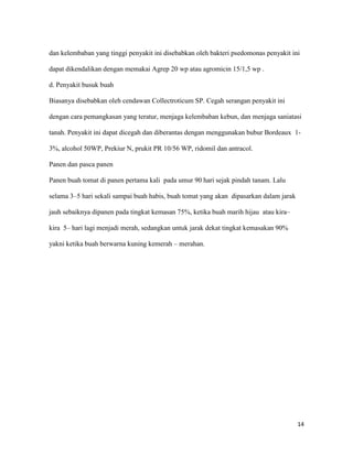 dan kelembaban yang tinggi penyakit ini disebabkan oleh bakteri psedomonas penyakit ini

dapat dikendalikan dengan memakai Agrep 20 wp atau agromicin 15/1,5 wp .

d. Penyakit busuk buah

Biasanya disebabkan oleh cendawan Collectroticum SP. Cegah serangan penyakit ini

dengan cara pemangkasan yang teratur, menjaga kelembaban kebun, dan menjaga saniatasi

tanah. Penyakit ini dapat dicegah dan diberantas dengan menggunakan bubur Bordeaux 1-

3%, alcohol 50WP, Prekiur N, prukit PR 10/56 WP, ridomil dan antracol.

Panen dan pasca panen

Panen buah tomat di panen pertama kali pada umur 90 hari sejak pindah tanam. Lalu

selama 3–5 hari sekali sampai buah habis, buah tomat yang akan dipasarkan dalam jarak

jauh sebaiknya dipanen pada tingkat kemasan 75%, ketika buah marih hijau atau kira–

kira 5– hari lagi menjadi merah, sedangkan untuk jarak dekat tingkat kemasakan 90%

yakni ketika buah berwarna kuning kemerah – merahan.




                                                                                        14
 