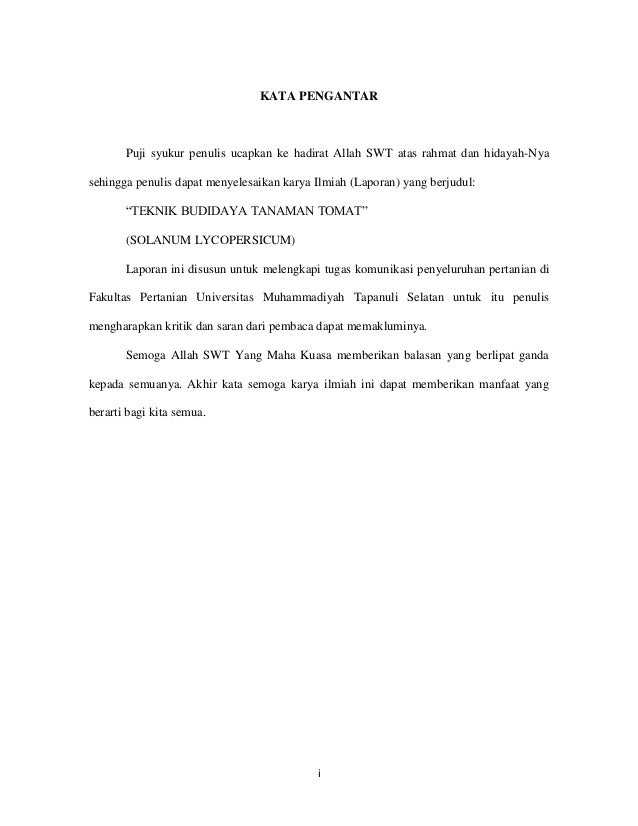 Teknik Budidaya Tanaman Tomat
