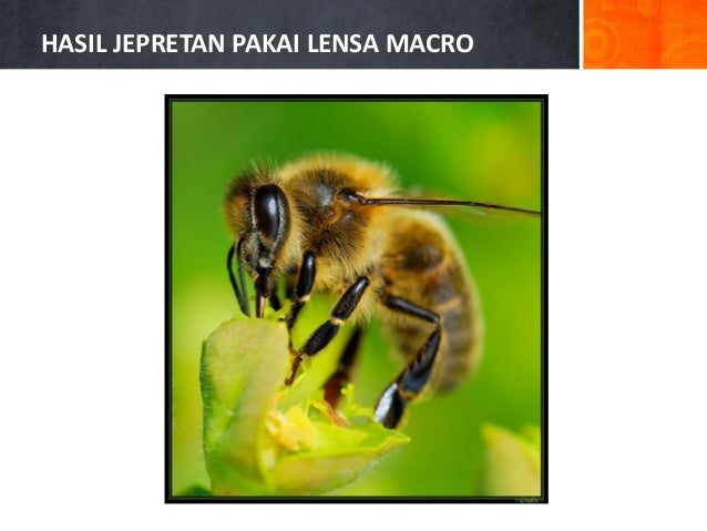 Jurnalistik Jurnalistik